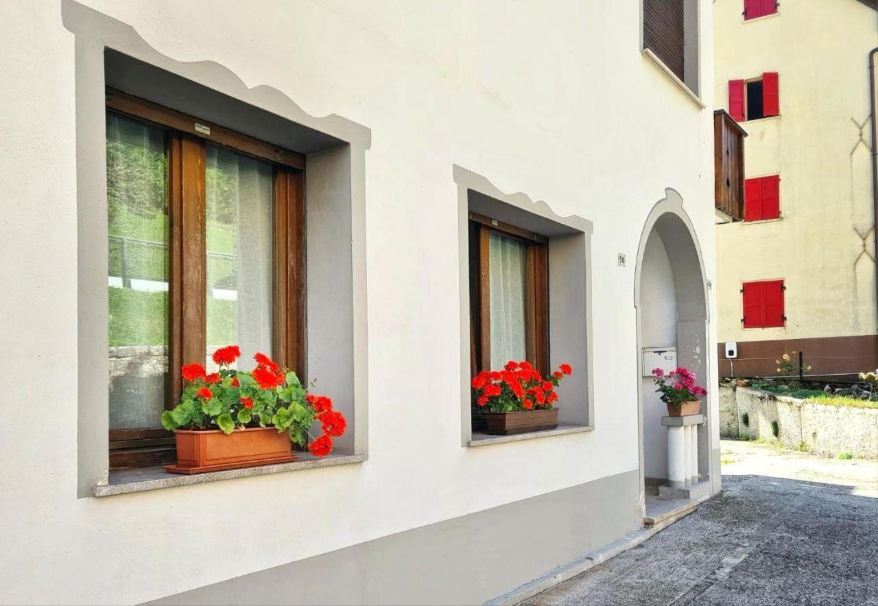 Appartamento Jever House Rigolato Exteriér fotografie